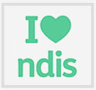 NDISS 22 Icon